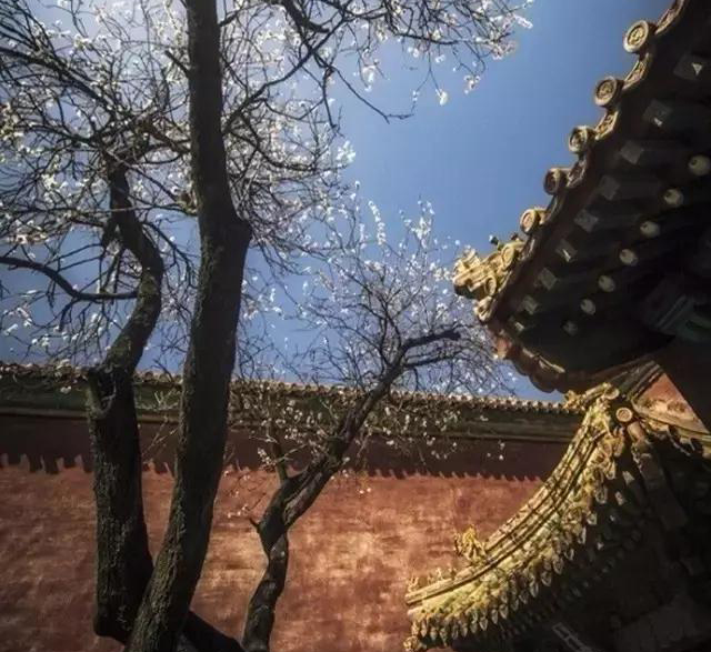 最美立冬诗词，带你一览初冬美景