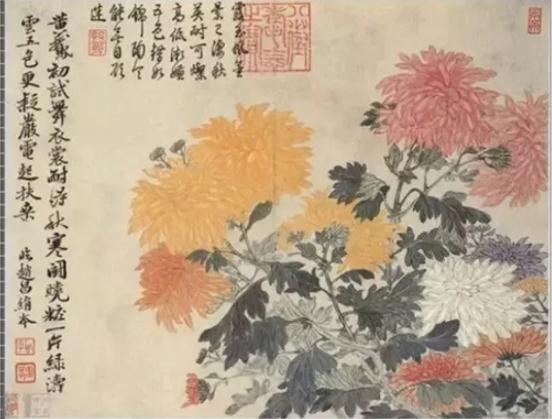 重阳节，50幅菊花画，50句菊花诗，美到心醉！送给大家！