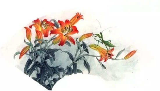图文教程：百合工笔画法
