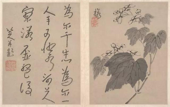 八大山人《书画册》，独步古今！