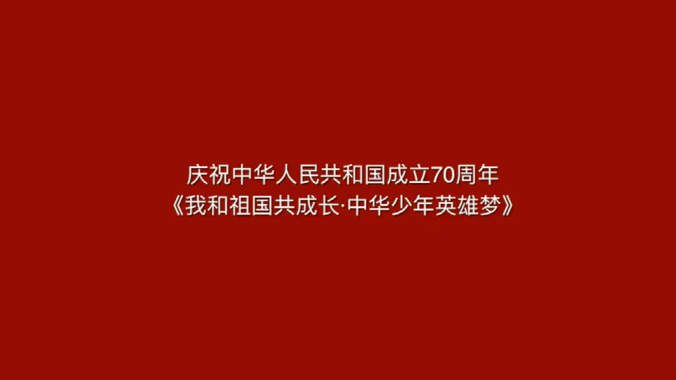 中华少年英雄梦—罗炳辉