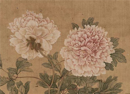 赏画 | 清 恽寿平《牡丹图》