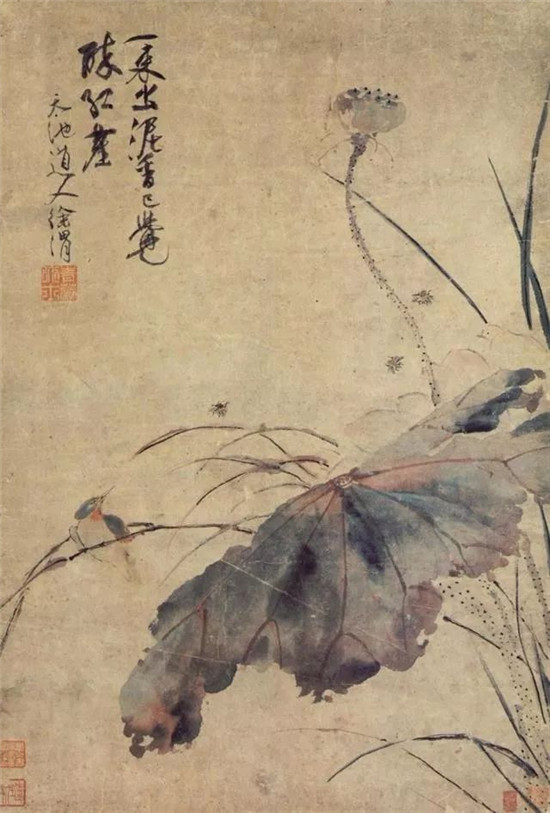 明朝狂人徐渭的水墨荷花，独树一帜！