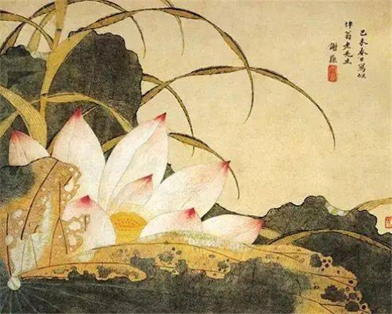 名家画荷，淡看浮华