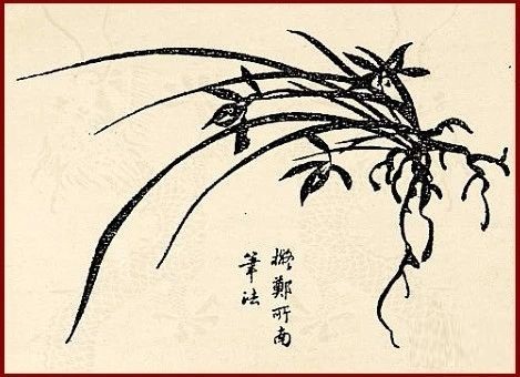 这组兰花，风姿绰约，飘逸多姿！