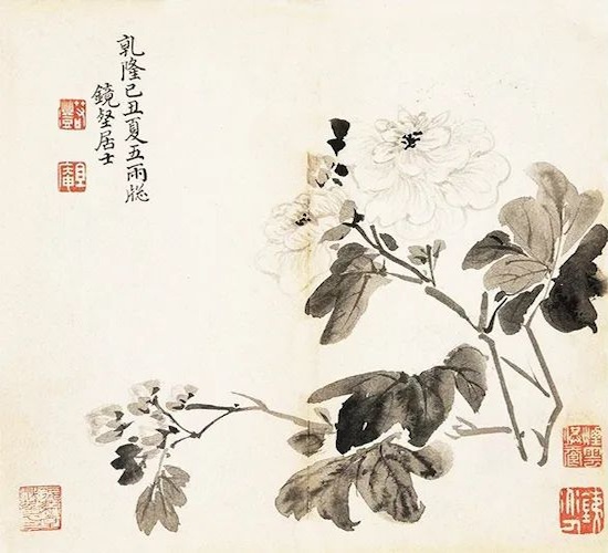 这水墨花卉，高雅脱俗