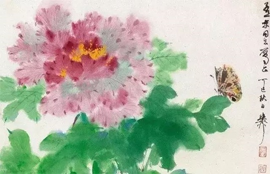 极品花卉，越看越醉！