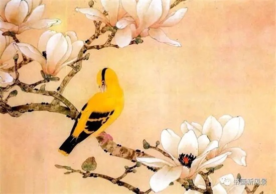 唯美国画：玉兰花儿开