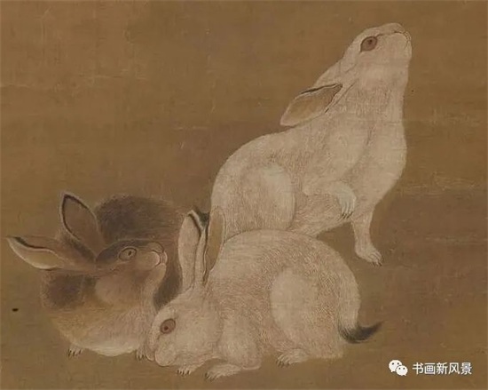 八大山人画荷册